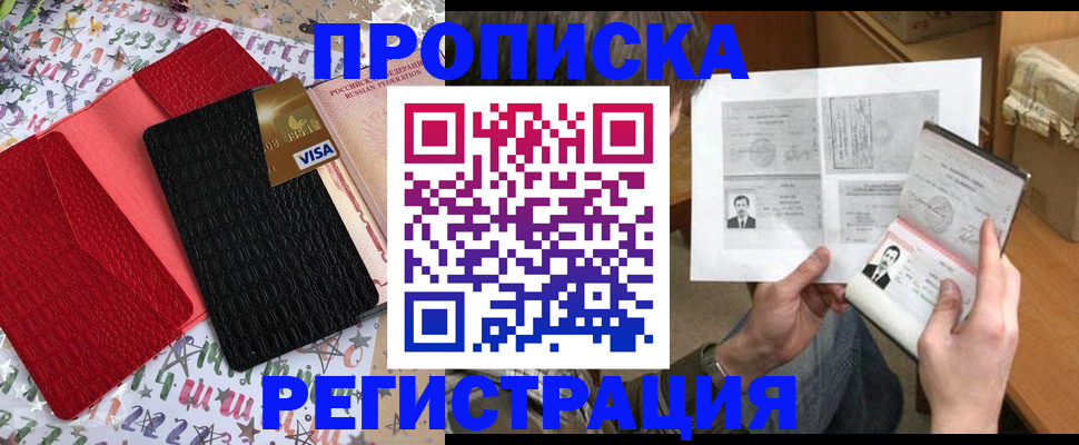 прописка поиск в Ногинске